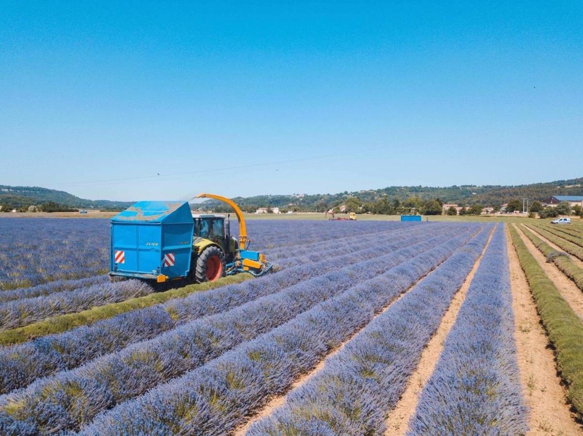 Paradise In Provence - Loft En Pierres - Privatif *
