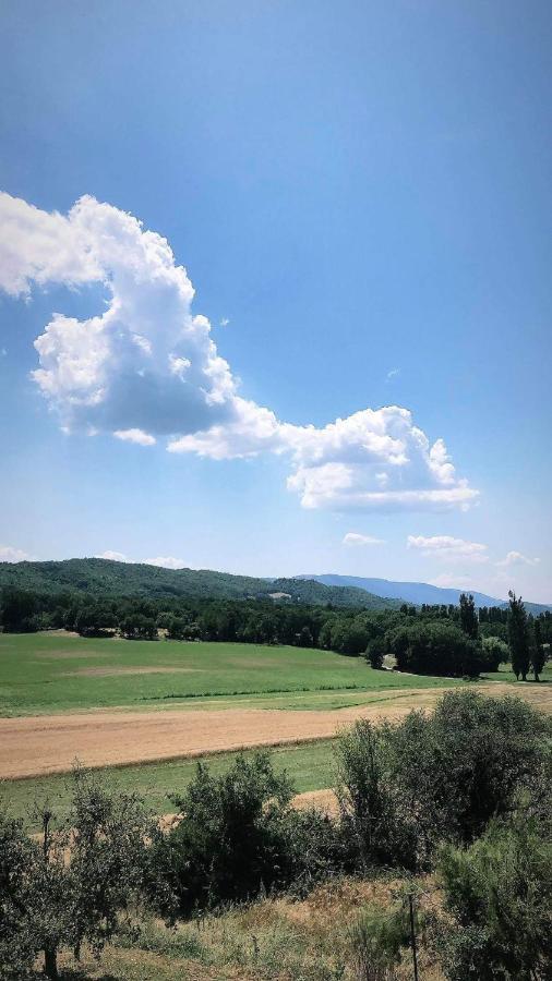 Paradise In Provence - Loft En Pierres - Privatif Apartment